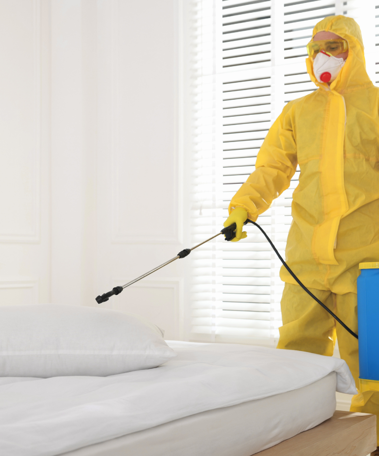 Professional Pest Control Team in Kudla